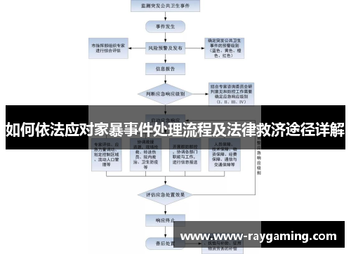 如何依法应对家暴事件处理流程及法律救济途径详解