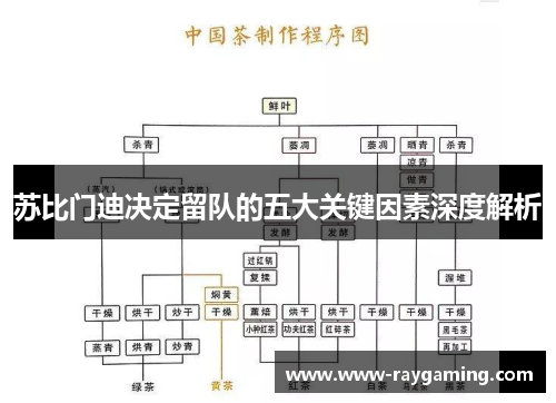 苏比门迪决定留队的五大关键因素深度解析