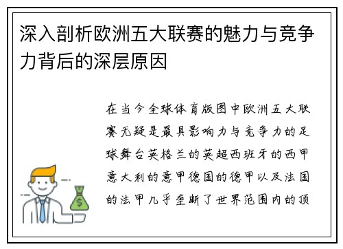 深入剖析欧洲五大联赛的魅力与竞争力背后的深层原因